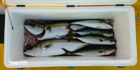 火遠理丸(ほおりまる) 釣果