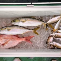 火遠理丸(ほおりまる) 釣果