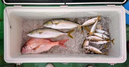 火遠理丸(ほおりまる) 釣果