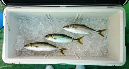 火遠理丸(ほおりまる) 釣果