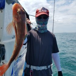 遊漁船 ニライカナイ 釣果