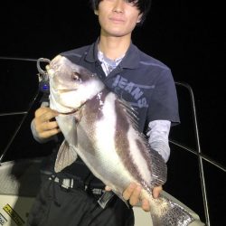 Magic(マジック) 釣果