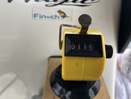 Magic(マジック) 釣果