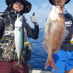 海峰 釣果
