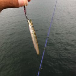 ちもとホタルを装着可能な新しいルアー！【ルミカ（LUMICA）メタルジャッカーマイクロインプレッション】