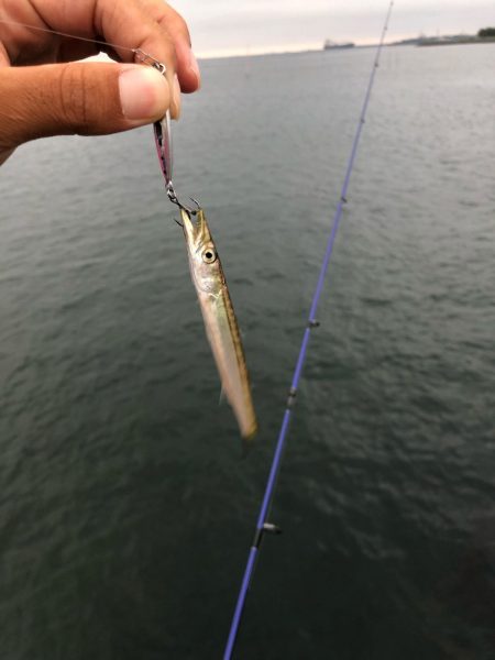 ちもとホタルを装着可能な新しいルアー！【ルミカ（LUMICA）メタルジャッカーマイクロインプレッション】