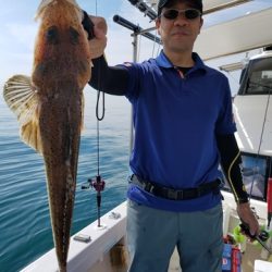 遊漁船 ニライカナイ 釣果