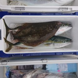 気仙沼　つり丸 釣果