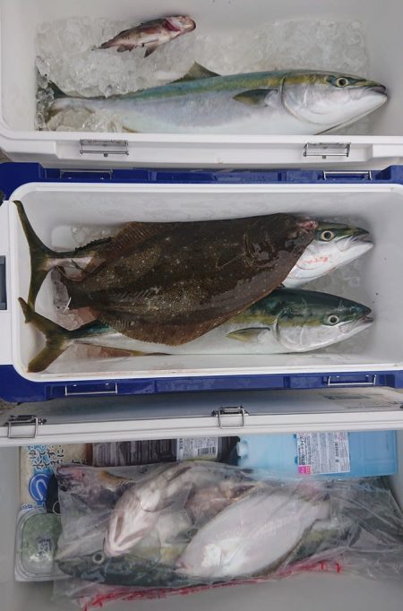 気仙沼　つり丸 釣果