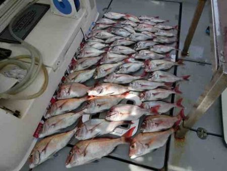 遊漁船 セトマリン 釣果