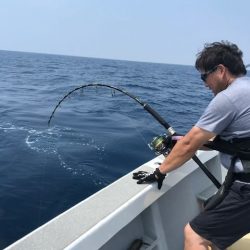 へいみつ丸 釣果