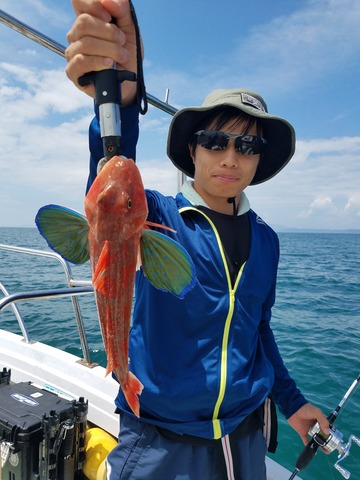 遊漁船 ニライカナイ 釣果