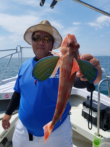 遊漁船 ニライカナイ 釣果