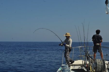 八海丸 釣果