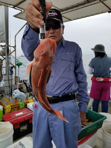 遊漁船 ニライカナイ 釣果