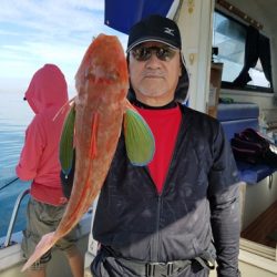 遊漁船　ニライカナイ 釣果