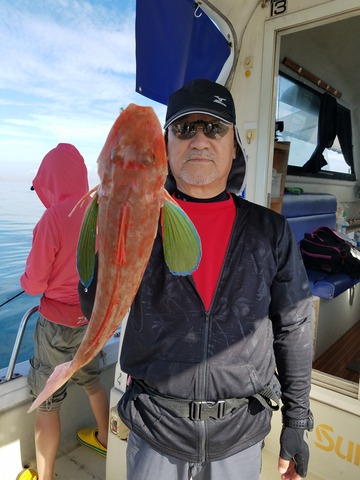 遊漁船　ニライカナイ 釣果