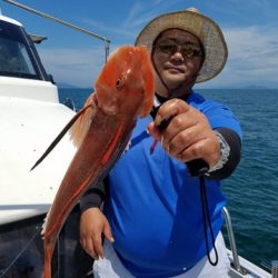 遊漁船 ニライカナイ 釣果