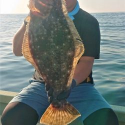 気仙沼　つり丸 釣果