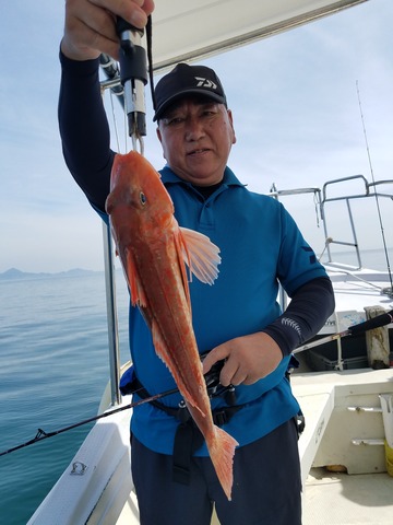 遊漁船 ニライカナイ 釣果