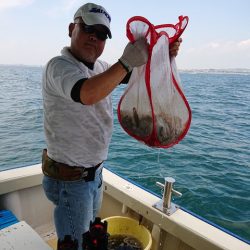 たかみ丸 釣果