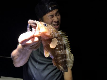 Magic（マジック） 釣果