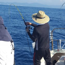 海峰 釣果
