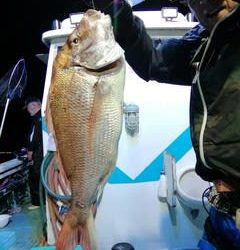 松福丸 釣果