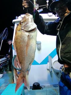松福丸 釣果