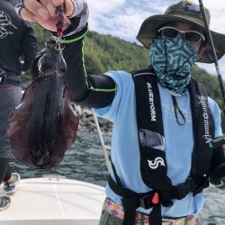 Magic(マジック) 釣果