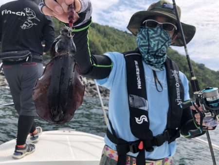 Magic(マジック) 釣果