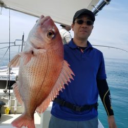 遊漁船 ニライカナイ 釣果