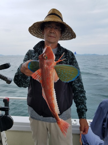 遊漁船 ニライカナイ 釣果