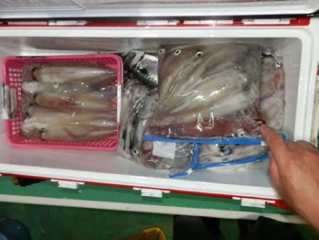 第二むつ漁丸 釣果