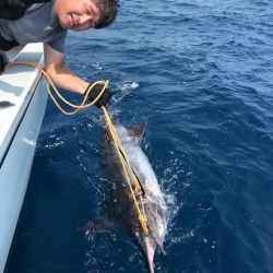 へいみつ丸 釣果
