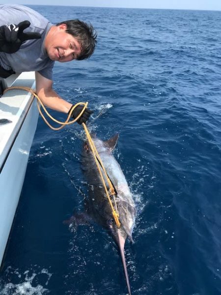 へいみつ丸 釣果