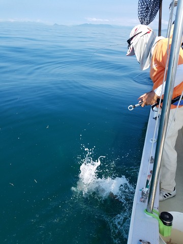 遊漁船 ニライカナイ 釣果