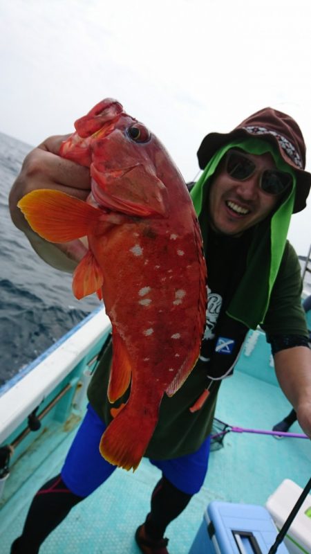 シードリーム 釣果