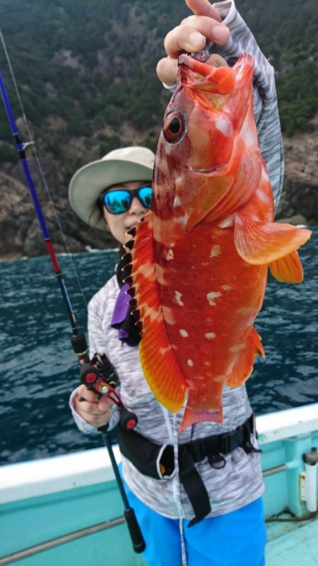 シードリーム 釣果