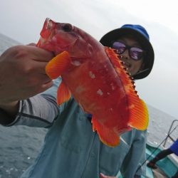 シードリーム 釣果