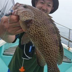 シードリーム 釣果