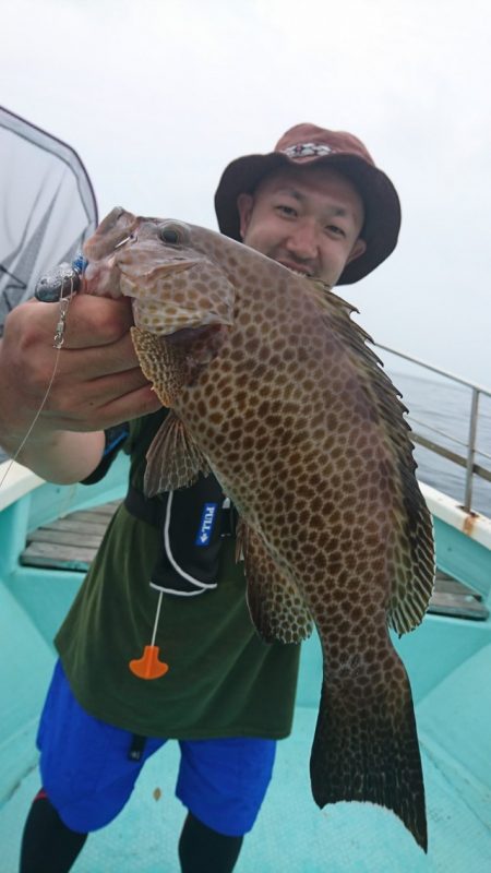 シードリーム 釣果