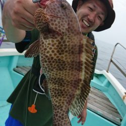 シードリーム 釣果