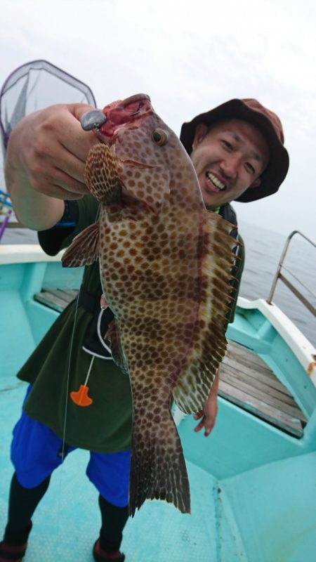 シードリーム 釣果