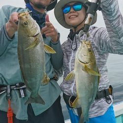 シードリーム 釣果