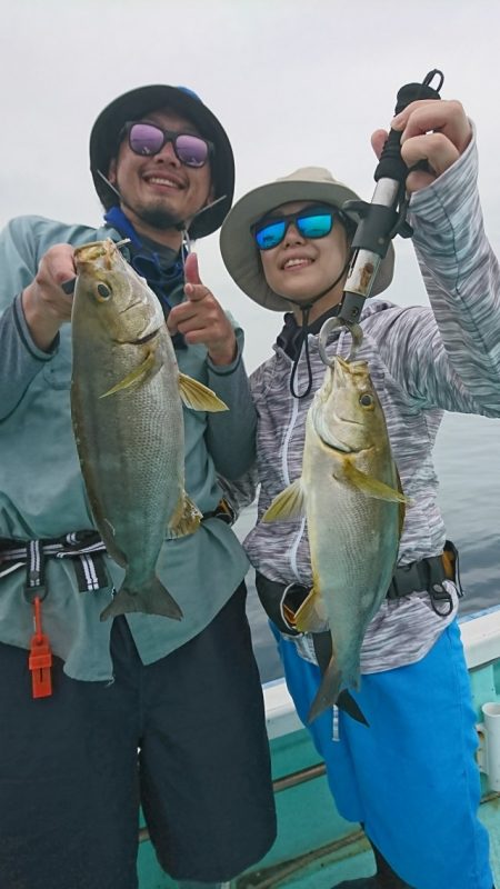 シードリーム 釣果