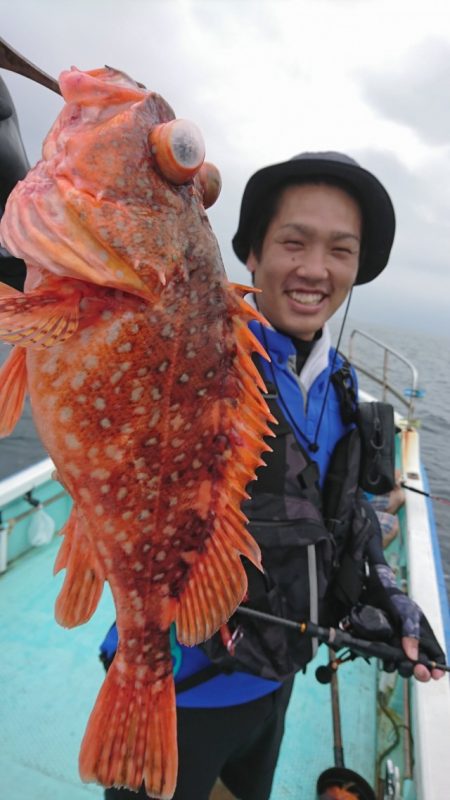 シードリーム 釣果