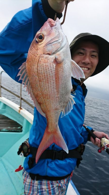 シードリーム 釣果