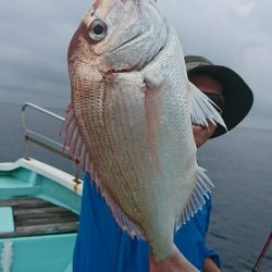 シードリーム 釣果