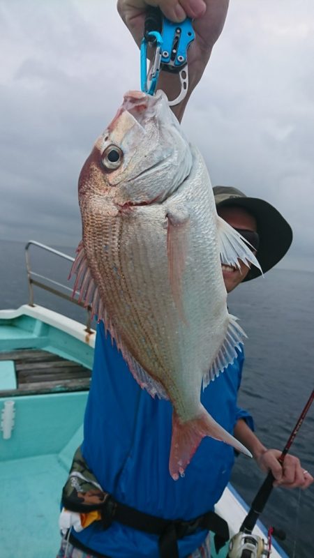 シードリーム 釣果